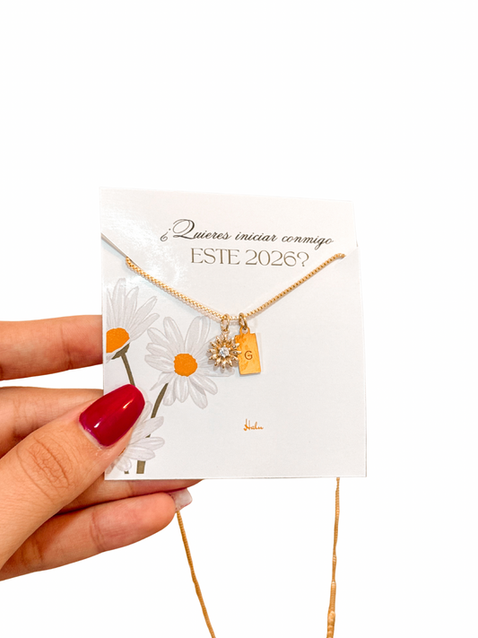 Nuevos Comienzos - Margarita