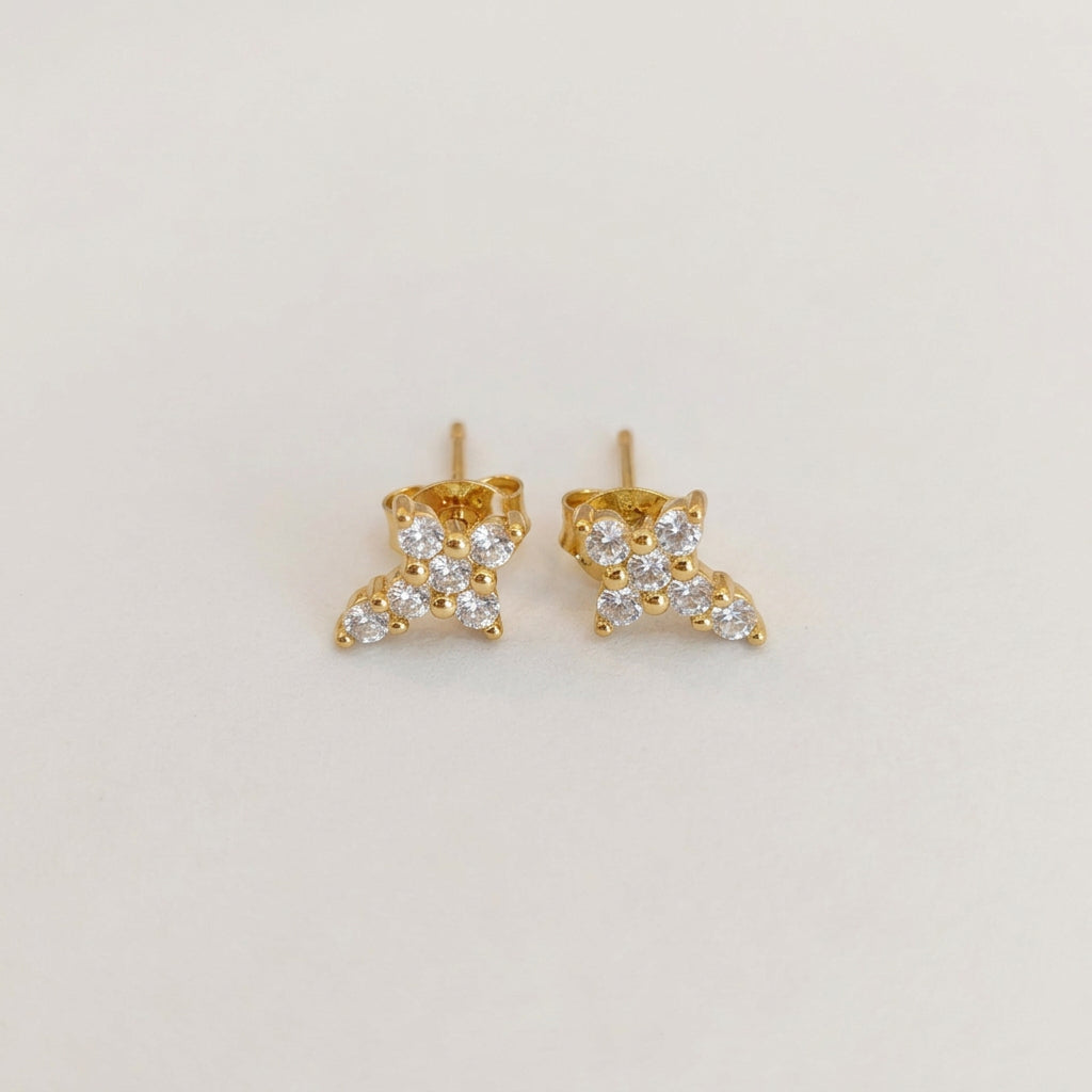 Follow Me Earrings